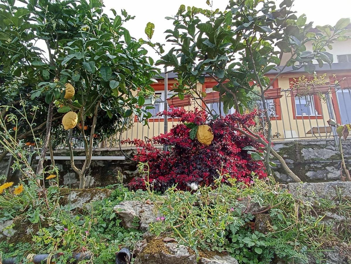 Patrizia Guest house La Spezia